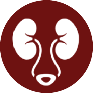 1744781750_Icon 20.png